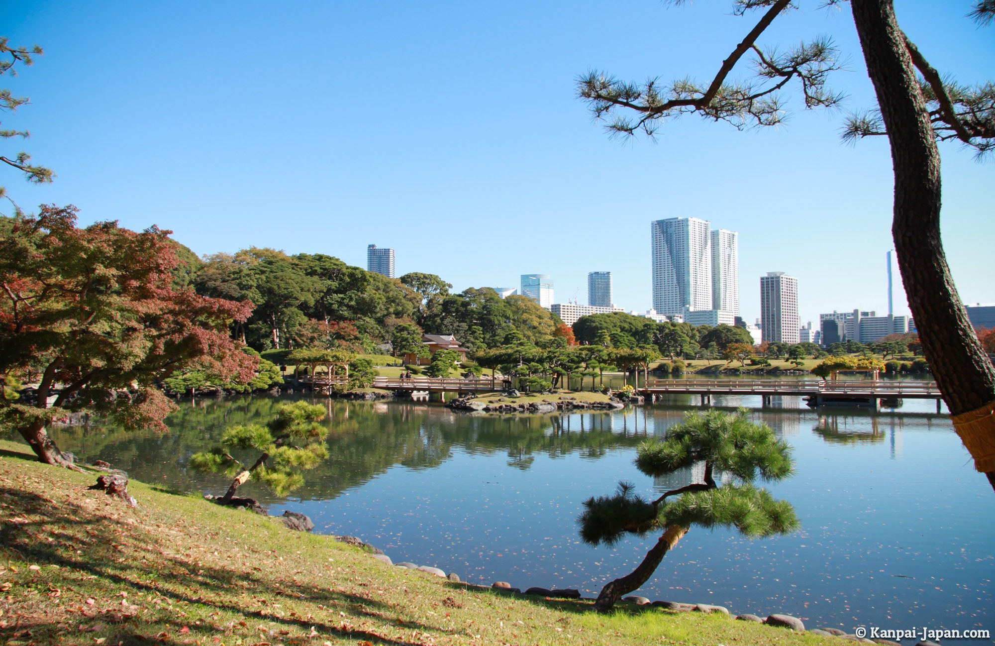 Hamarikyu - The Japanese Garden Among the Buildings of Tokyo