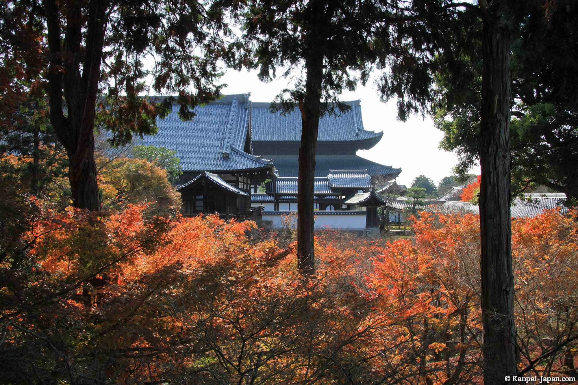 Tofuku-ji - The Large Zen Buddhism Complex in Kyoto