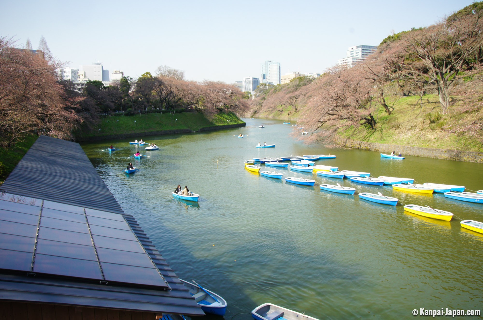 Chidorigafuchi Chiyoda Sakura in Tokyo