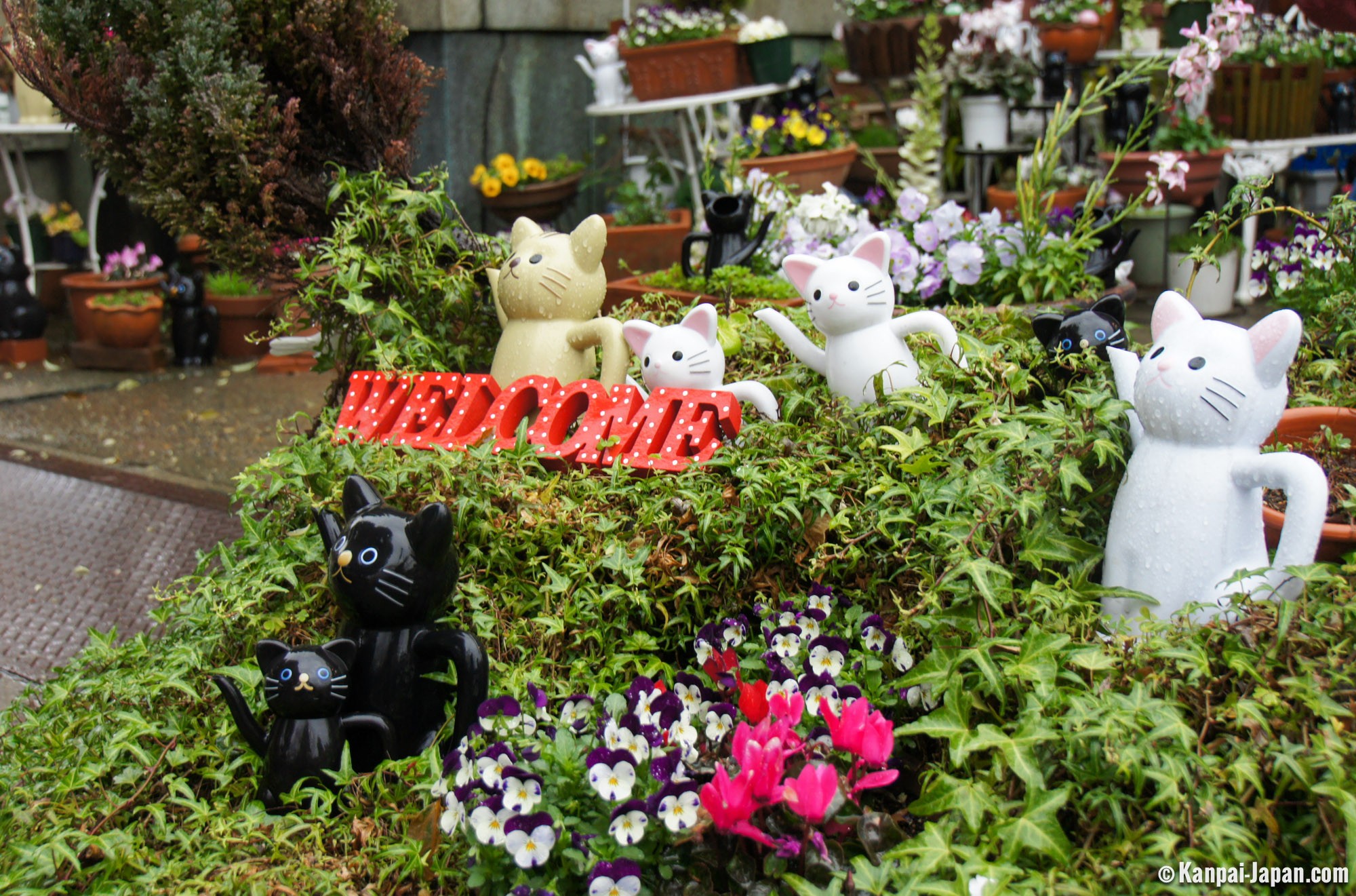 Imado Jinja A Small Shrine For Soulmates And Cat Souls