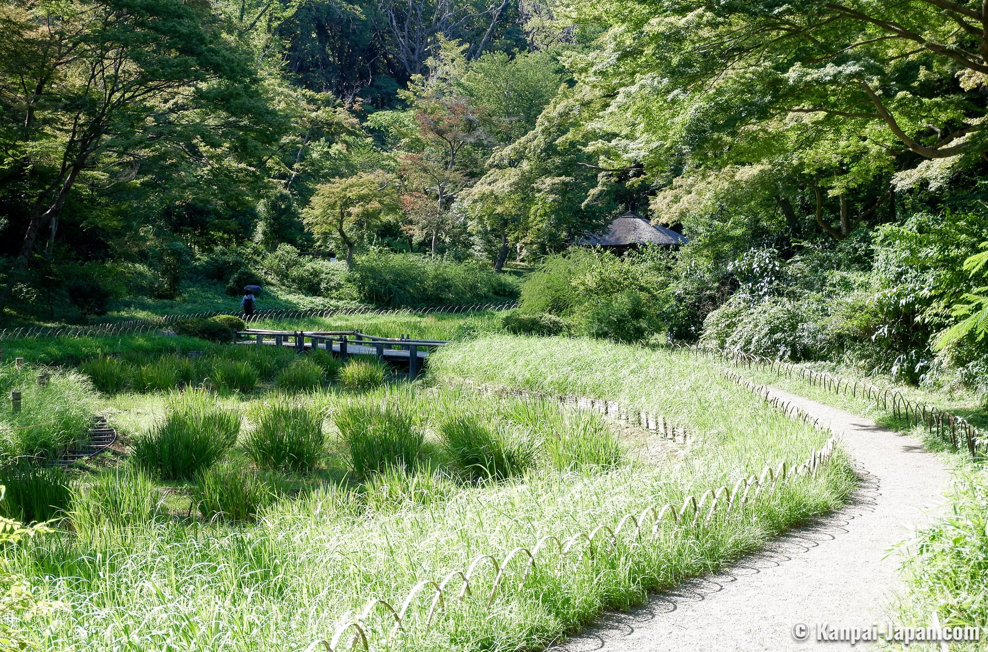 Meiji Jingu Gyoen - Harajuku Shrine’s Inner Garden