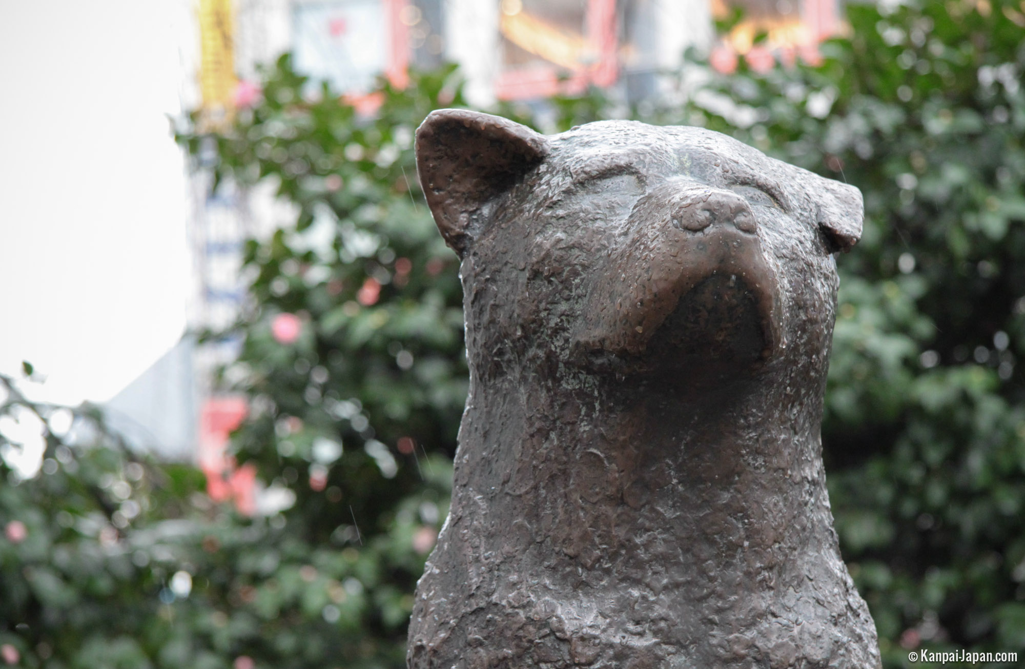 Hachiko The Statue Of Shibuya s Faithful Dog