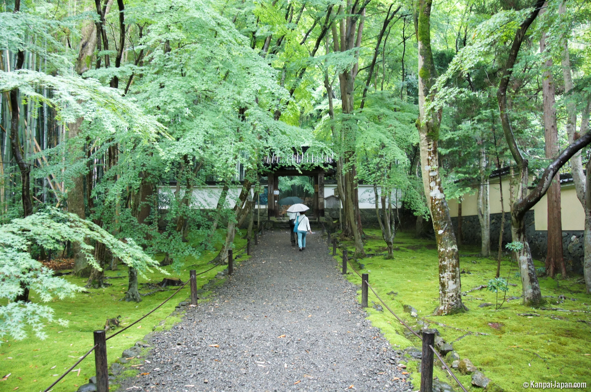Jizo-in - Kyoto’s Small Bamboo Temple