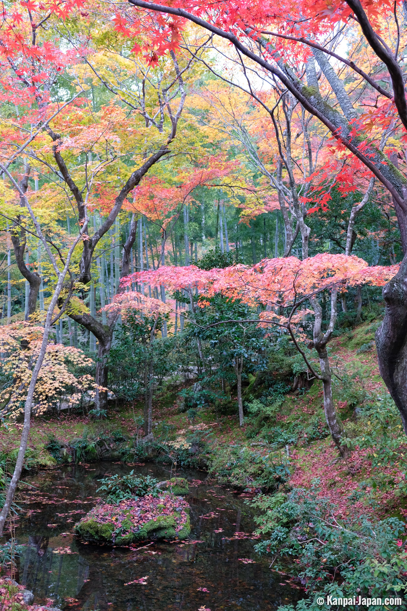 Jojakko-ji - The Hilly Walk in Arashiyama